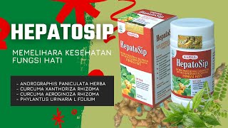 Kapsul Herbal Hepatosip