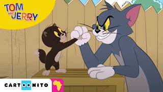 Jerry's workouts have been quite obnoxious for tom, but the only way
to put a stop it is beat him at his own game. #boomerangafrica
#tomandjerryshow #g...