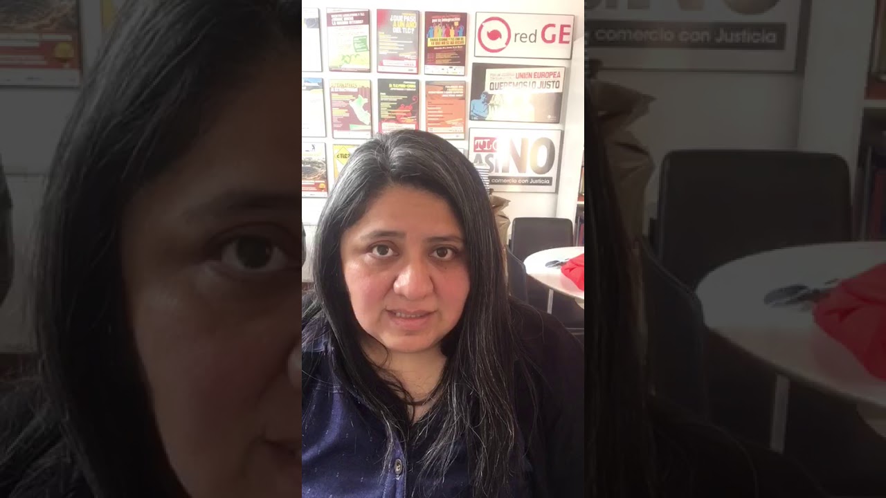 Ana Romero de RedGE explica por qué no se debe revivir el TPP - YouTube