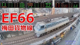 JR貨物 EF66-115 走行シーンまとめ