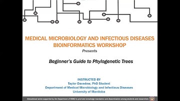MMID Bioinformatics Workshop - 2023-04-06 Beginner