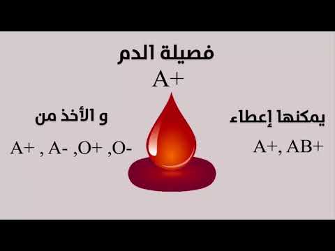 انواع فصائل الدم ومميزاتها وما هى افضل فصيلة  والاطعمة المناسبة لكل فصيلة