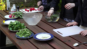 Was bedeutet Gänseblümchen in der Liebe?