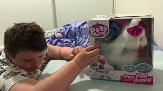 Unboxing Zuru Pets alive,￼ Lil Paw paw Pup from target, Rockhampton, Queensland, Australia￼ by Hakas, kittens and more 69 views 1 year ago 7 minutes, 41 seconds