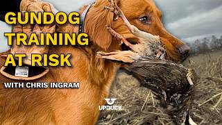 Farm Bill Breakdown: How the Greyhound Protection Act Could Impact Hunting Dogs