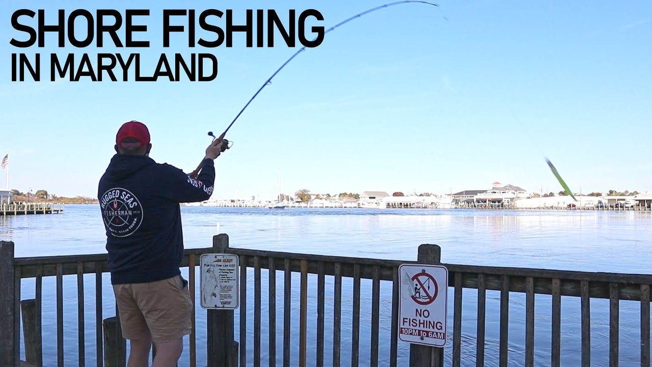 Shore Fishing in Maryland for whatever I can catch.