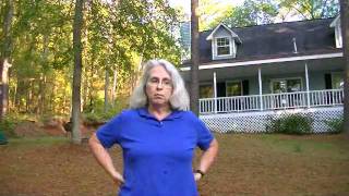 Discovering East Lake Sinclair Georgia