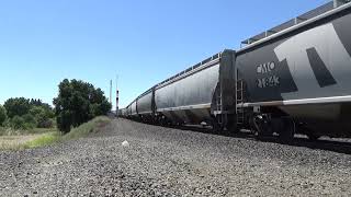 CN 2313 East Leads Union Pacific GSTRFM-17 @ Sacramento CA 5/17/2024