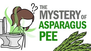 The Mystery Of Asparagus Pee