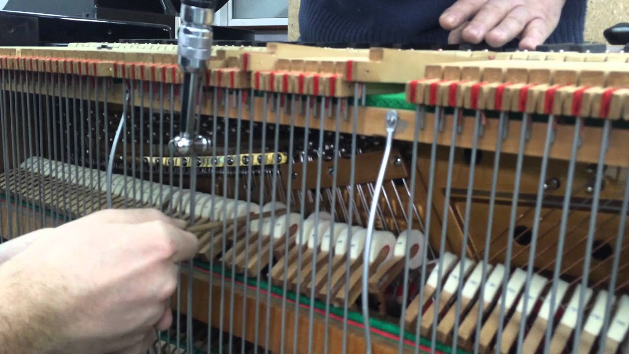 EAVESTAFF MINI PIANO TUNING