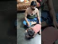 Chakkarachan #shortsfeed #viralbaby #fun #shortsviral #cutebaby #love #baby #viralshort #viralvideo