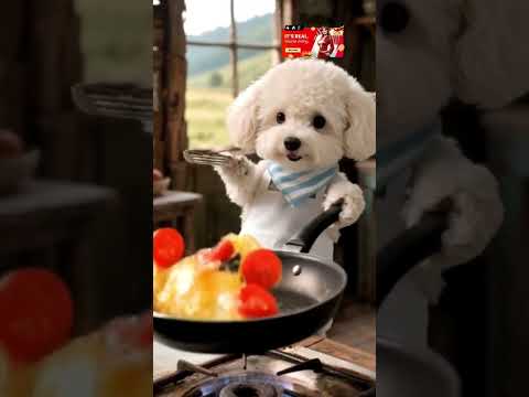 SHIP MAKING A NOODLES Mmnmedianetwork