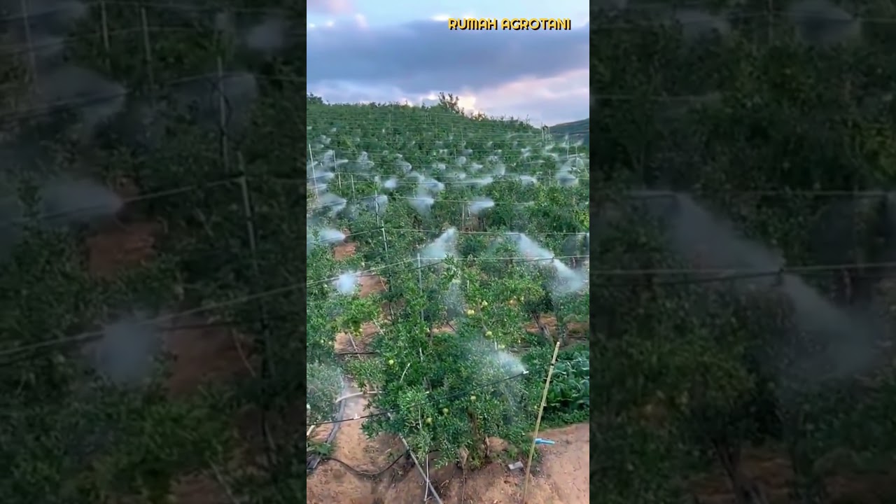 Teknologi Smart Farming, Menyemprot Tanaman dengan Mudah