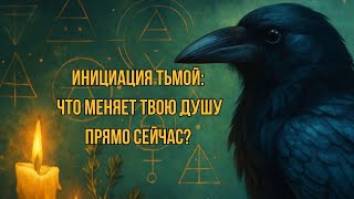 видео: Инициации Тьмой: что тебя трансформирует прямо сейчас? @ШепотВорона19  картинка: Инициации Тьмой: что тебя трансформирует прямо сейчас? @ШепотВорона19