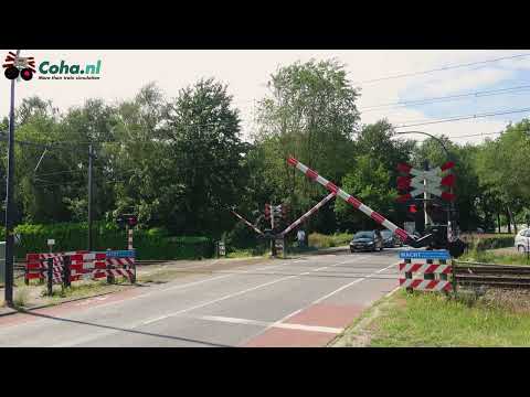 Spoorwegovergang Borne ??4K?? // Dutch railroad crossing