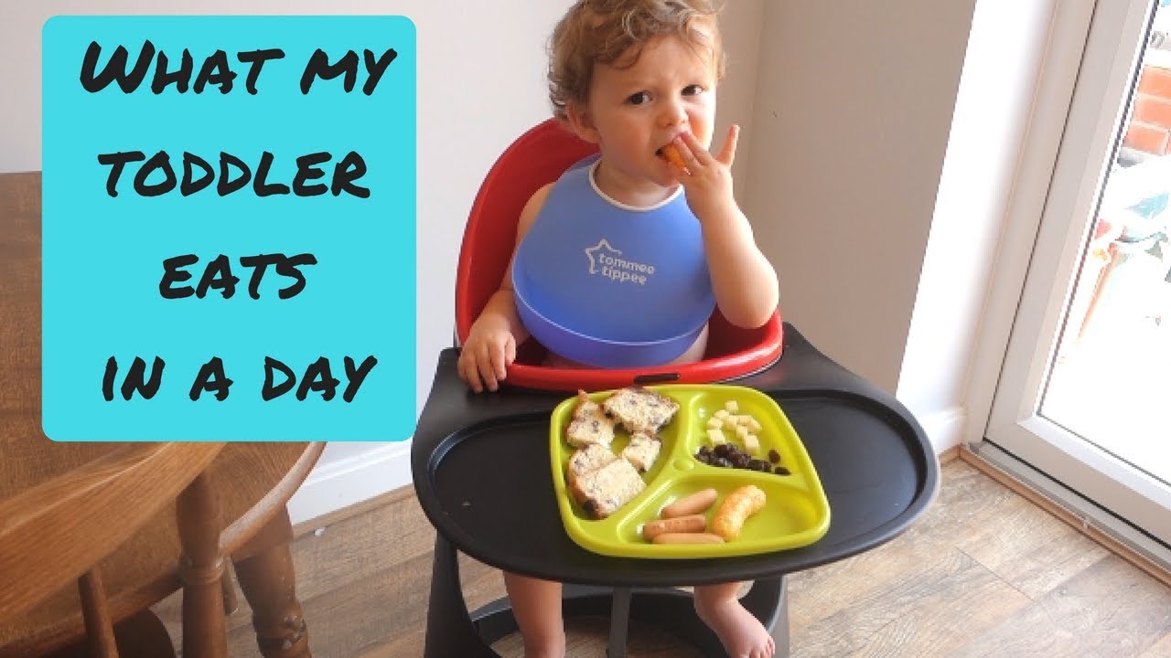 What My Toddler Eats In A Day | What Does My Toddler Eat? - YouTube