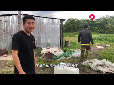 真正的纯粮食酒多少钱一斤？酿酒大爷说出真实价格，你觉得贵吗？