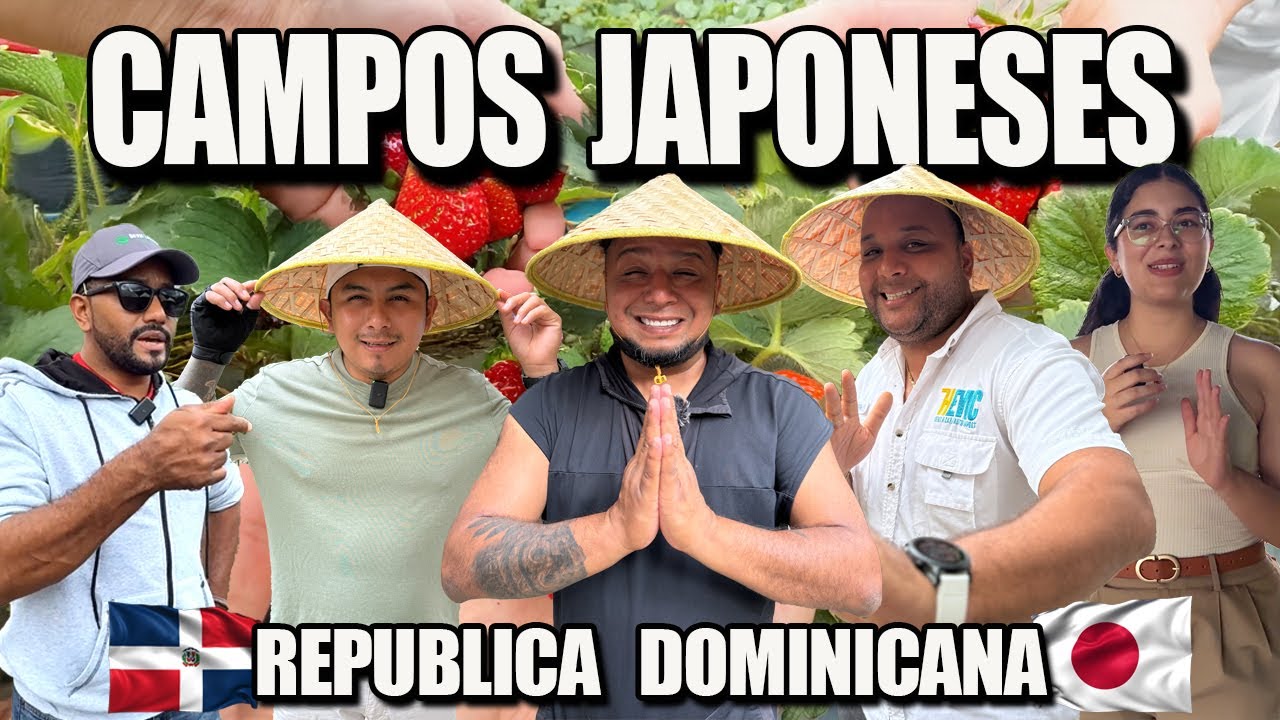 entre al CULTIVO JAPONES mas GRANDE de Constanza EL SUIZA DOMINICANO