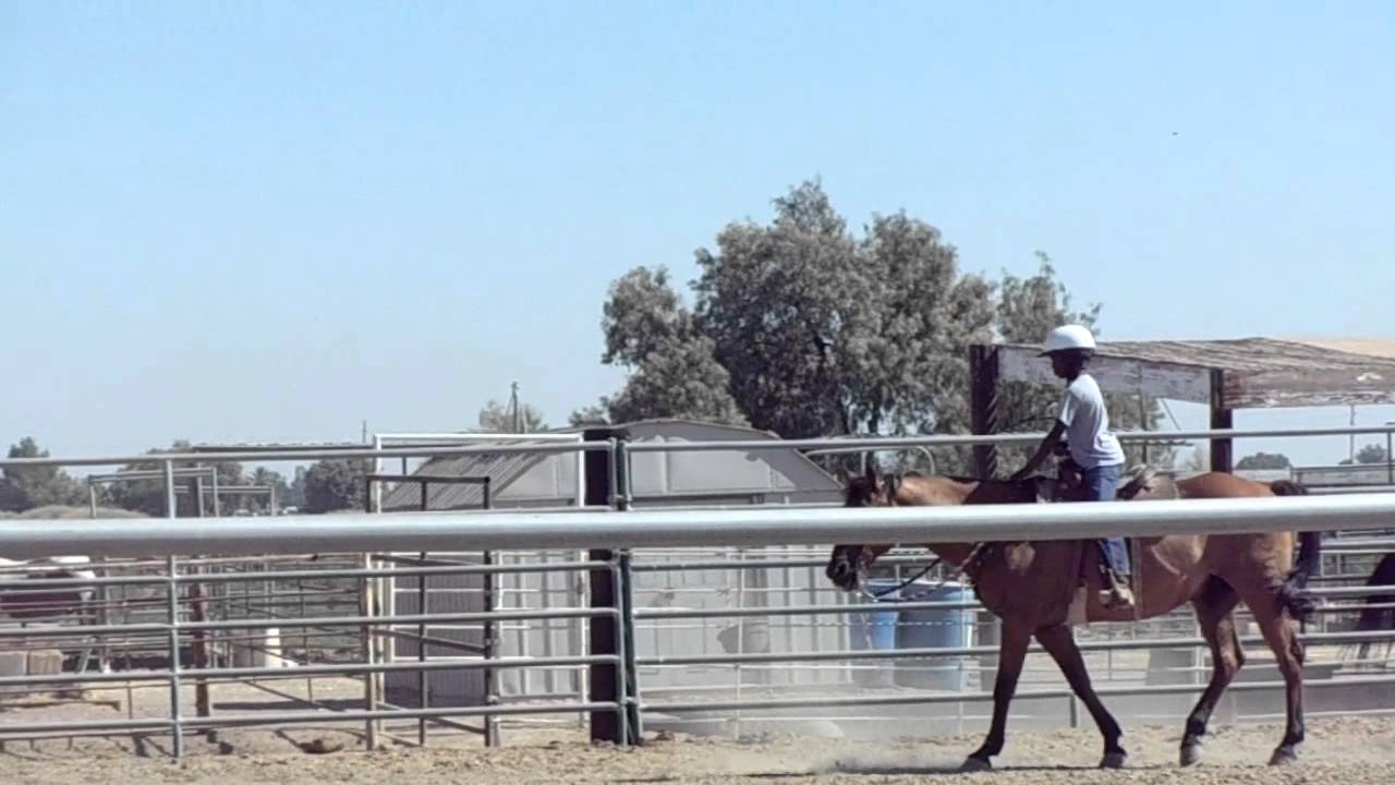 TJ Robertson at Horse Ranch 110722 3 of 6 YouTube