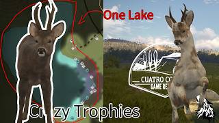 ONE LAKE Method Produces CRAZY Trophies! TheHunter Call of the Wild