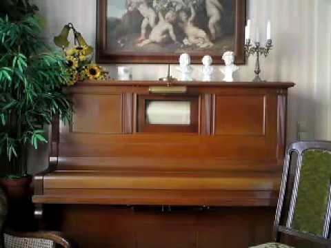 Ungarische Rhapsodie Ungarische Rhapsodie