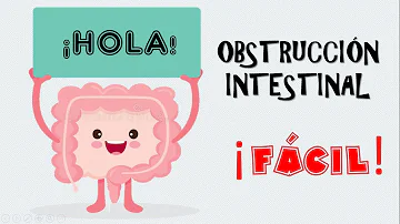 ¿Cómo descartar una obstrucción intestinal?