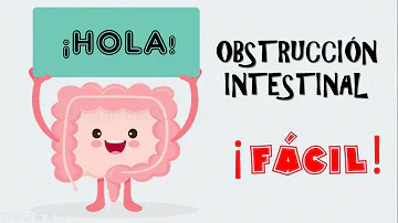 ¿Cómo se elimina una obstrucción intestinal?