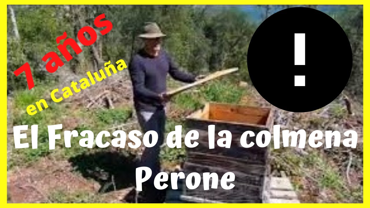 📉El FRACASO ⬇️ de la colmena 🙈 PERONE