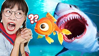 Hà Sam Biến Thành Con Cá Tìm Đường Ra Biển Liệu Có Thành Công Trong I Am Fish