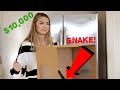 $10,000 WHATS IN THE BOX CHALLENGE!!