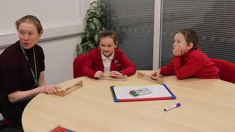 TheTeaching Model: Introducing Rekenreks