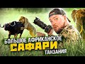 Сафари Танзания. Cафари по самым большим национальным паркам Африки.