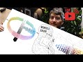 BIG BRAIN Color Theory : The Munsell Color System and How to USE IT as a Painter - then Live Demo