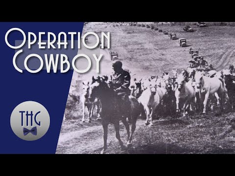 Operation Cowboy and the 1945 Rescue of Europe's Stolen Horses