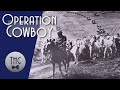 Operation Cowboy and the 1945 Rescue of Europe's Stolen Horses