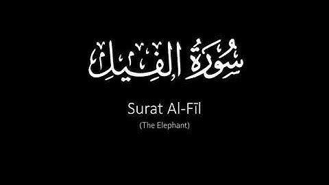 Surat Al-Fīl (The Elephant) | Yasser Al Dosari | ياسر الدوسري | سورة العصر