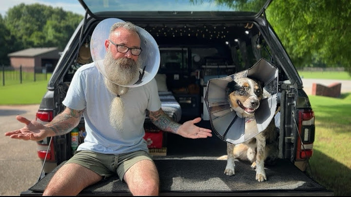 Truck Camping Nightmare | My Dog Preacher Was Attacked