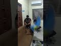 العشائر العربية تبدأ السيطرة على مقرات ميليشيات PKK الإرهابية