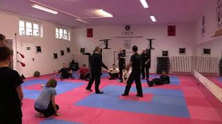 Wing Chun CRCA Combat Techniques 18