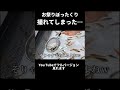 3年ぶりのお祭りでぼったくられた貧乏夫婦の末路#shorts
