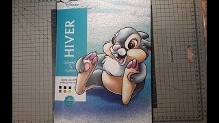 Coloriages Mystères Disney Hiver - Livre de coloriage couleur par