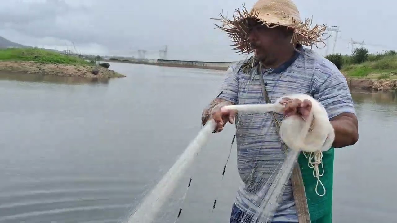 Pegamos o do frito 🐟