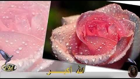 17 سورة الاسراء كاملة للقارئ الشيخ محمد الطبلاوي