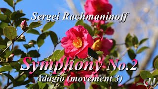 Sergei Rachmaninoff: Symphony No.2 (Movement 3), Adagio, (Orchestra) Dan-chan's Adventure