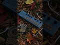 Fall colors