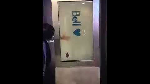 Lumid 46inch Transparent Video screen - Bell HD