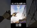 【APEX】センチネル1分クッキング【まめんぬ】 #apexlegends #apex
