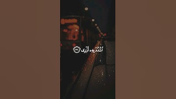 تـِلاوة مِـن سُـورة طه || القارئ : ماهر المعيقلي
