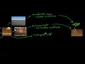 The Science of Seed Dormancy and Germination