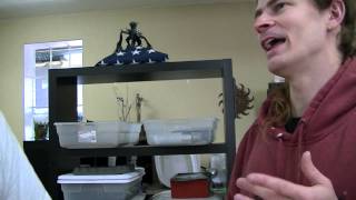 Eldar Comments with Thomas plus uber-Enthusiasm